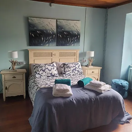 O Salgueiral Xove Jove