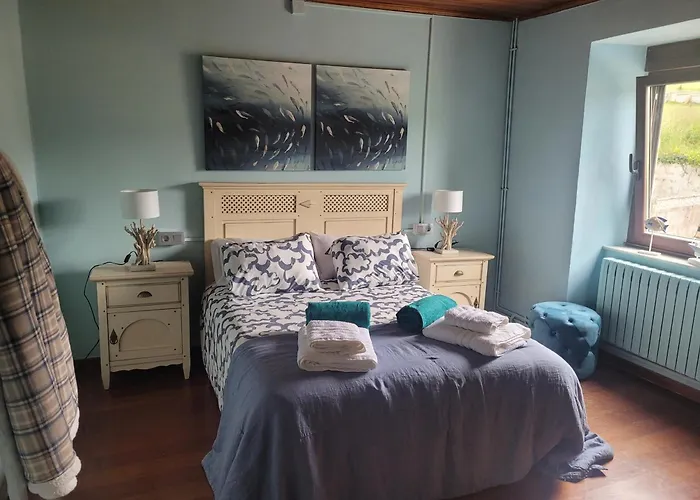 O Salgueiral Xove Jove